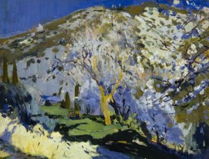 Paesaggio da Joaquim Mir i Trinxet