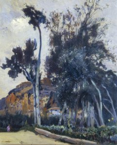 Miravet da Joaquim Mir i Trinxet
