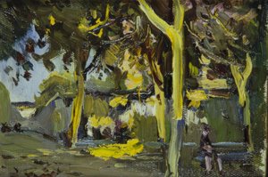 Piazza con alberi
