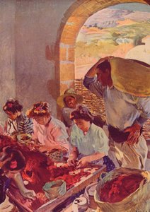 La preparazione dell