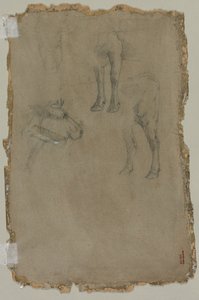 Studi di un toro, 1864