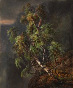Betulla nella tempesta da Johan Christian Dahl