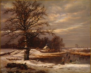 Paesaggio invernale danese