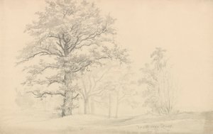  da Johan Christian Dahl