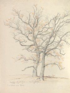 Due querce da Johan Christian Dahl