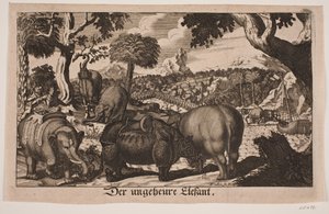 "Der ungeheure Elefant" da Johan Friedlein