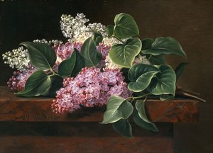 Lillà su un davanzale da Johan Laurents Jensen