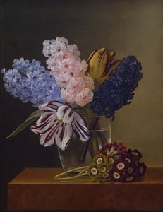 Tulipani, Giacinti e Viole