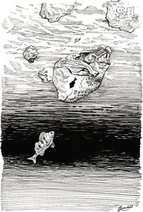 Pesci sotto la plastica da Johan Liewendahl