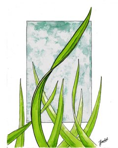 Crescita verde fresca