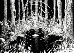 Le increspature della foresta mistica da Johan Liewendahl