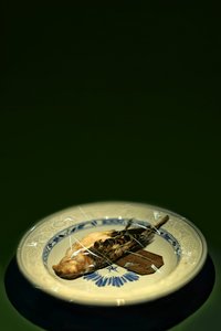 Piatto di uccelli, 2015