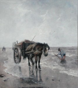 Brezze marine