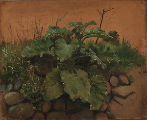 Una Bardana e Altre Piante su un Muro di Pietra da Johan Thomas Lundbye