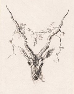 Testa di antilope da Johan Thomas Lundbye