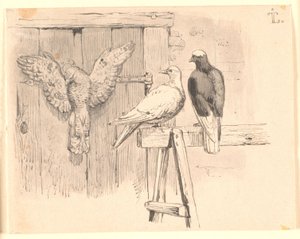 Le colombe da Johan Thomas Lundbye