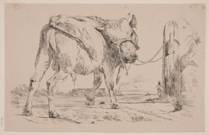 Un vitello legato a un palo di recinzione da Johan Thomas Lundbye