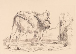 Un Vitello Legato a un Palo da Johan Thomas Lundbye