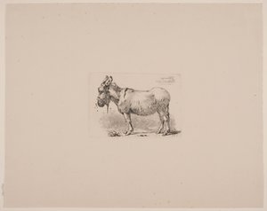 Un asino tormentato dalle mosche da Johan Thomas Lundbye