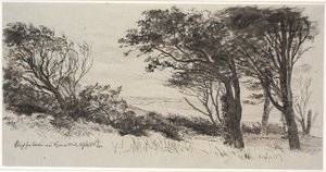 Alberi spazzati dal vento. Vejrhøj da Johan Thomas Lundbye