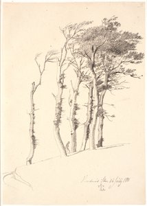Gruppo di alberi piegati dal vento da Johan Thomas Lundbye