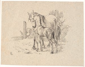 Il cavallo e il puledro