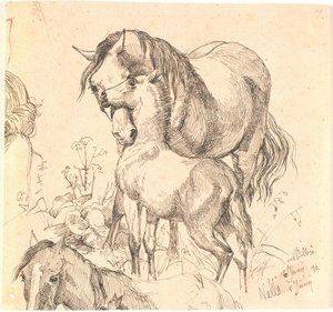 La cavalla e il puledro, studio di cavallo (schiena e testa) e orecchie di un puledro