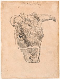 Testa di una mucca da Johan Thomas Lundbye