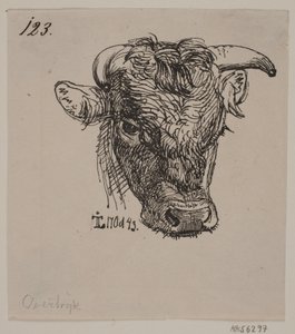Testa di un giovane toro da Johan Thomas Lundbye