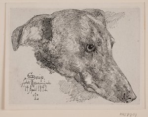 Testa di cane, Snip da Johan Thomas Lundbye