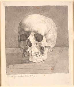 Cranio, visto di fronte da Johan Thomas Lundbye