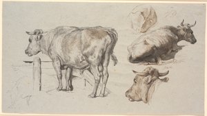 Studi di bestiame. A sinistra il toro Grev Geert da Johan Thomas Lundbye