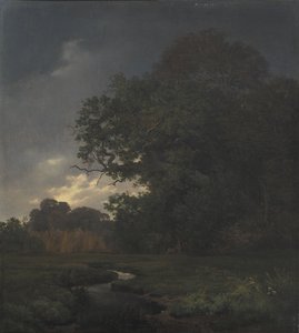 Paesaggio con tempo nuvoloso. Tardo pomeriggio da Johan Thomas Lundbye