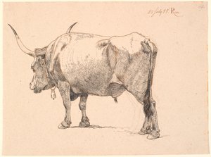 Toro romano con campana al collo, visto da dietro da Johan Thomas Lundbye