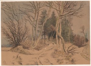 Strade innevate tra abeti e alberi spogli da Johan Thomas Lundbye