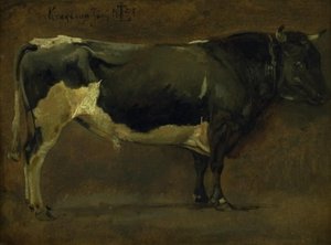Toro pezzato nero da Johan Thomas Lundbye