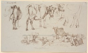 Foglio di studio da Vognserup. Studi di mucche, paesaggio con mucche in piedi e sdraiate