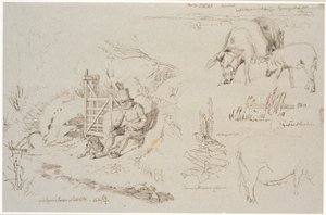 Studieblad fra Vognserup. T. v. en røgter (gamle Rasmus Larsen) siddende med en hund ved et led. F.o.t.h. et landskabsstudie med stedbetegnelser. Herunder to grise. T.h.m.f. studie af siv i en sø. Herunder en kongelysplante og studie af en so da Johan Thomas Lundbye