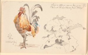 Foglio di studio con un gallo e una pianta di acetosa da Johan Thomas Lundbye