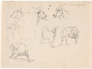 Studi di capre da Johan Thomas Lundbye