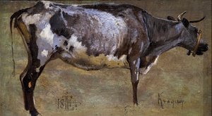 Studio di una mucca