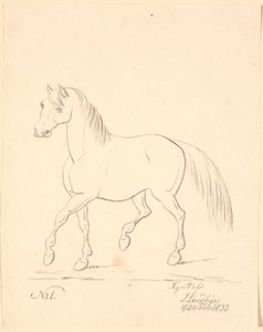 Cavallo al Trotto, Rivolto a Sinistra