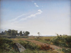 Paesaggio della Zelanda. Campagna aperta nella Zelanda del Nord da Johan Thomas Lundbye