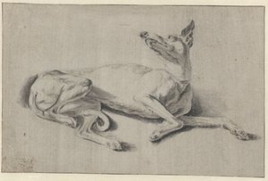 Levriero sdraiato da Johan le Ducq (possibly)