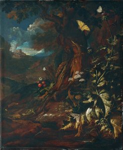 Paesaggio con rettili e insetti (I) da Johann Adalbert Angermayer