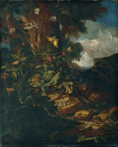 Paesaggio con rettili e insetti (II)