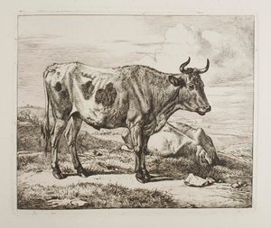  da Johann Adam Klein