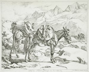  da Johann Adam Klein