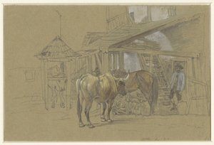 Buoi e un cavallo dal maniscalco