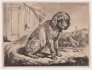 Cane seduto da Johann Adam Klein